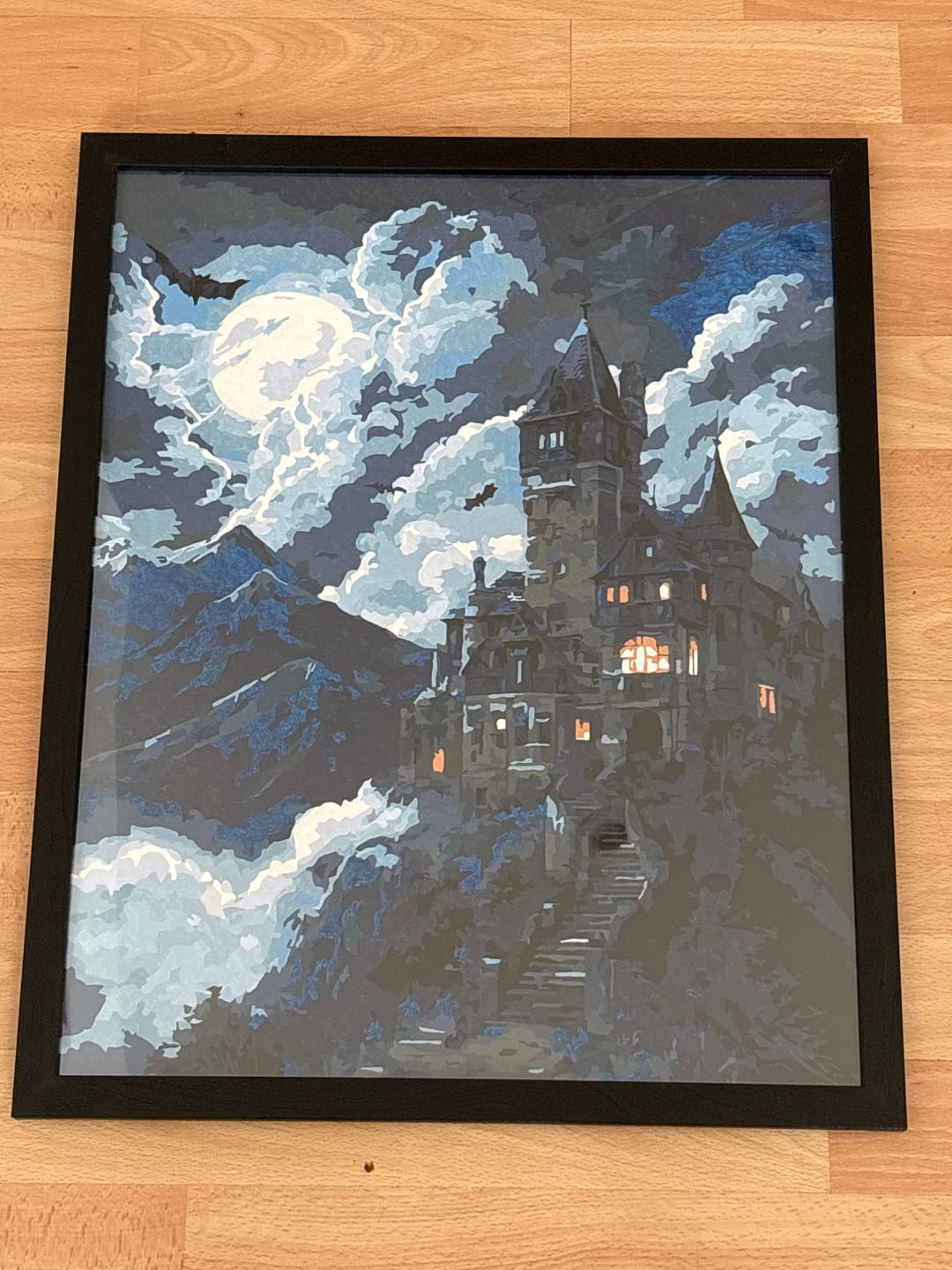 Customer photo review of Malen nach Zahlen - Draculas Anwesen