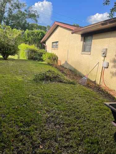 Reviewer's yard after clearing shrubs with pruning blades, showing the cleared area along the house.