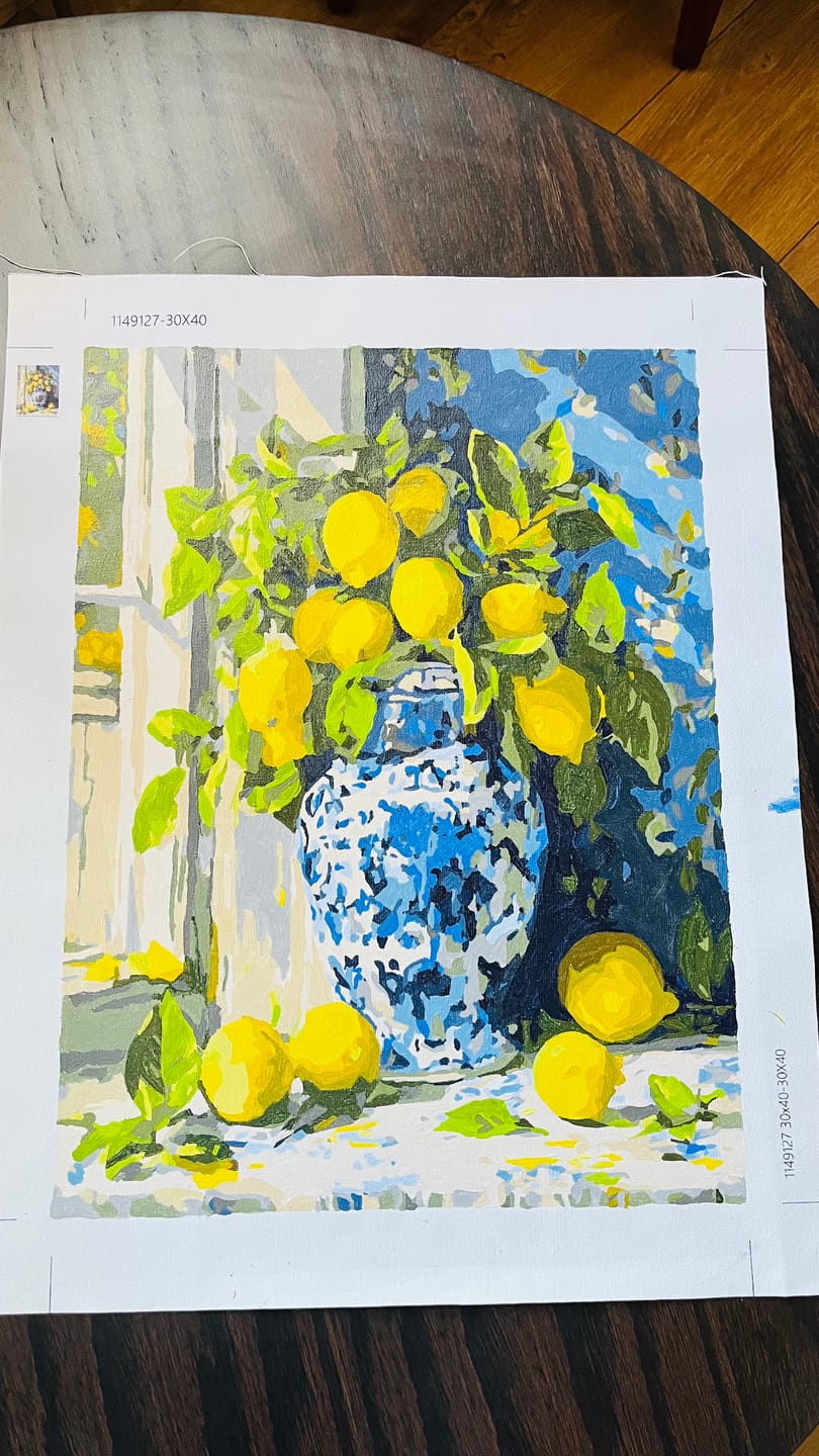 Customer photo review of Surprise Painting | Paint by Numbers