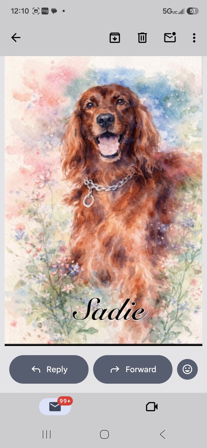 Customer photo review of Watercolor - Personalized Poster
