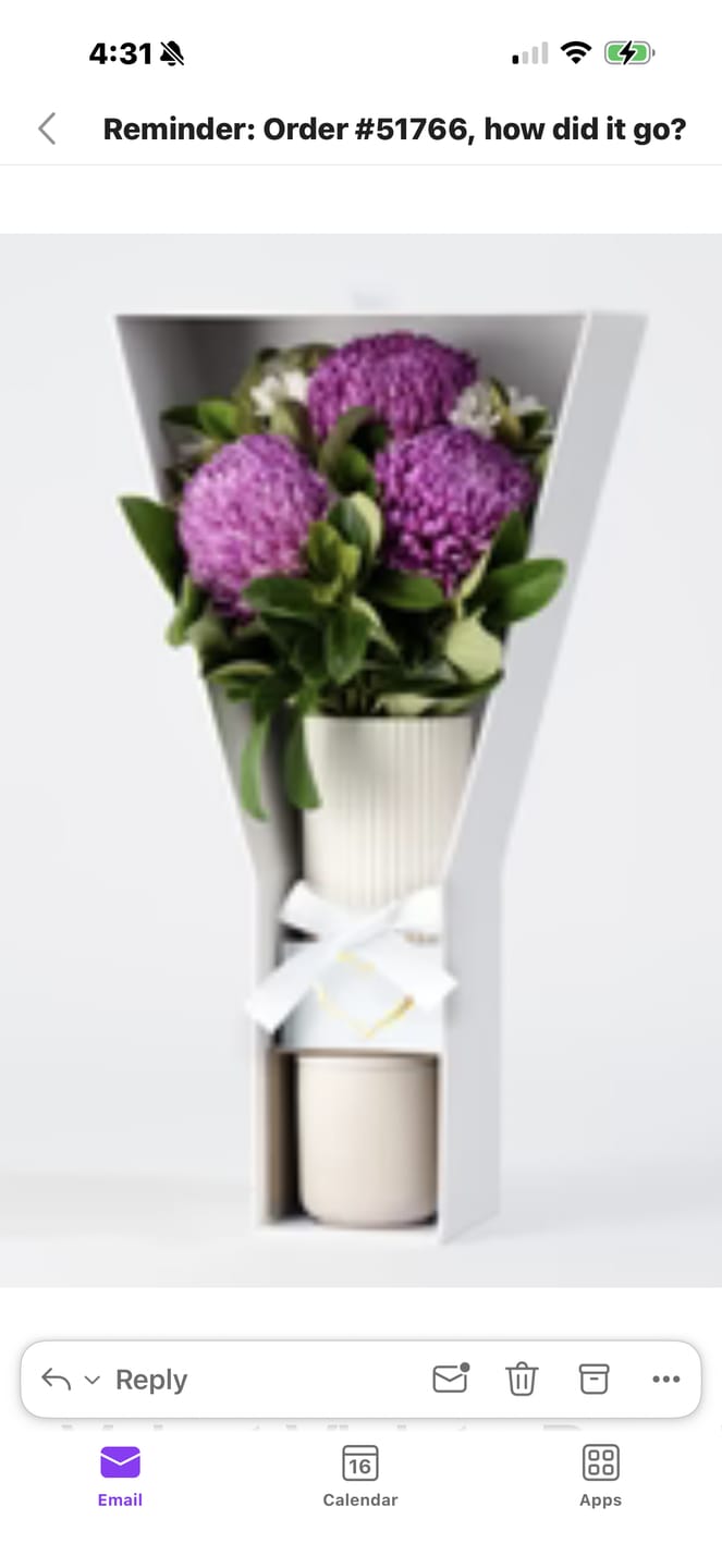 Customer photo review of The Velvet Violet - Premium Disbuds Bouquet