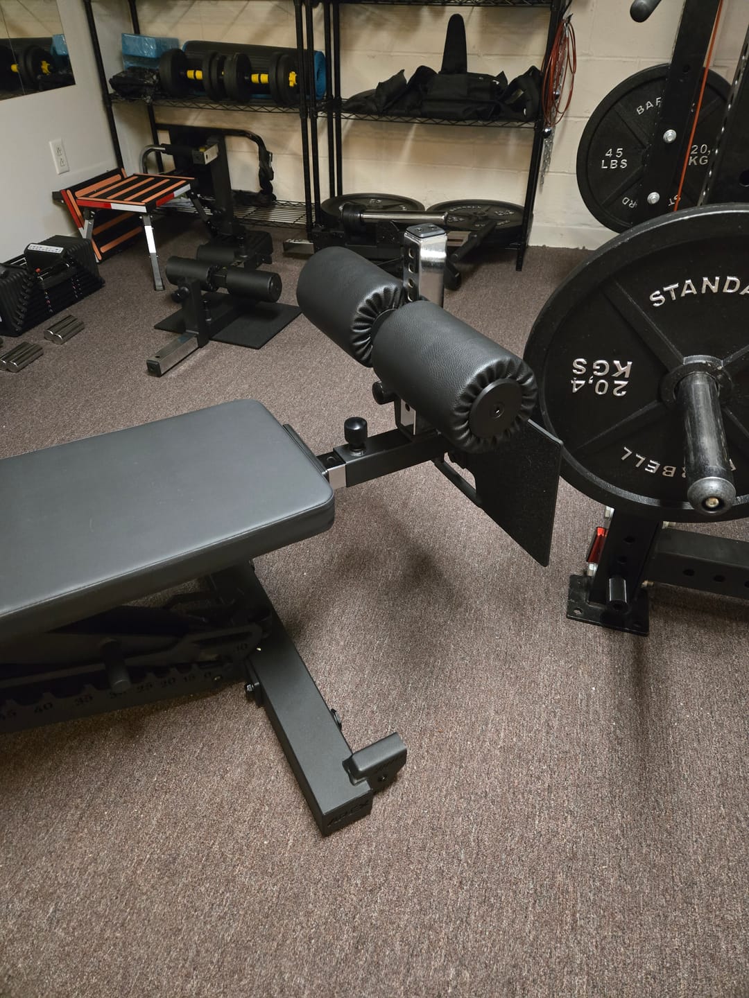 Customer photo review of APEX NORDIC MAX