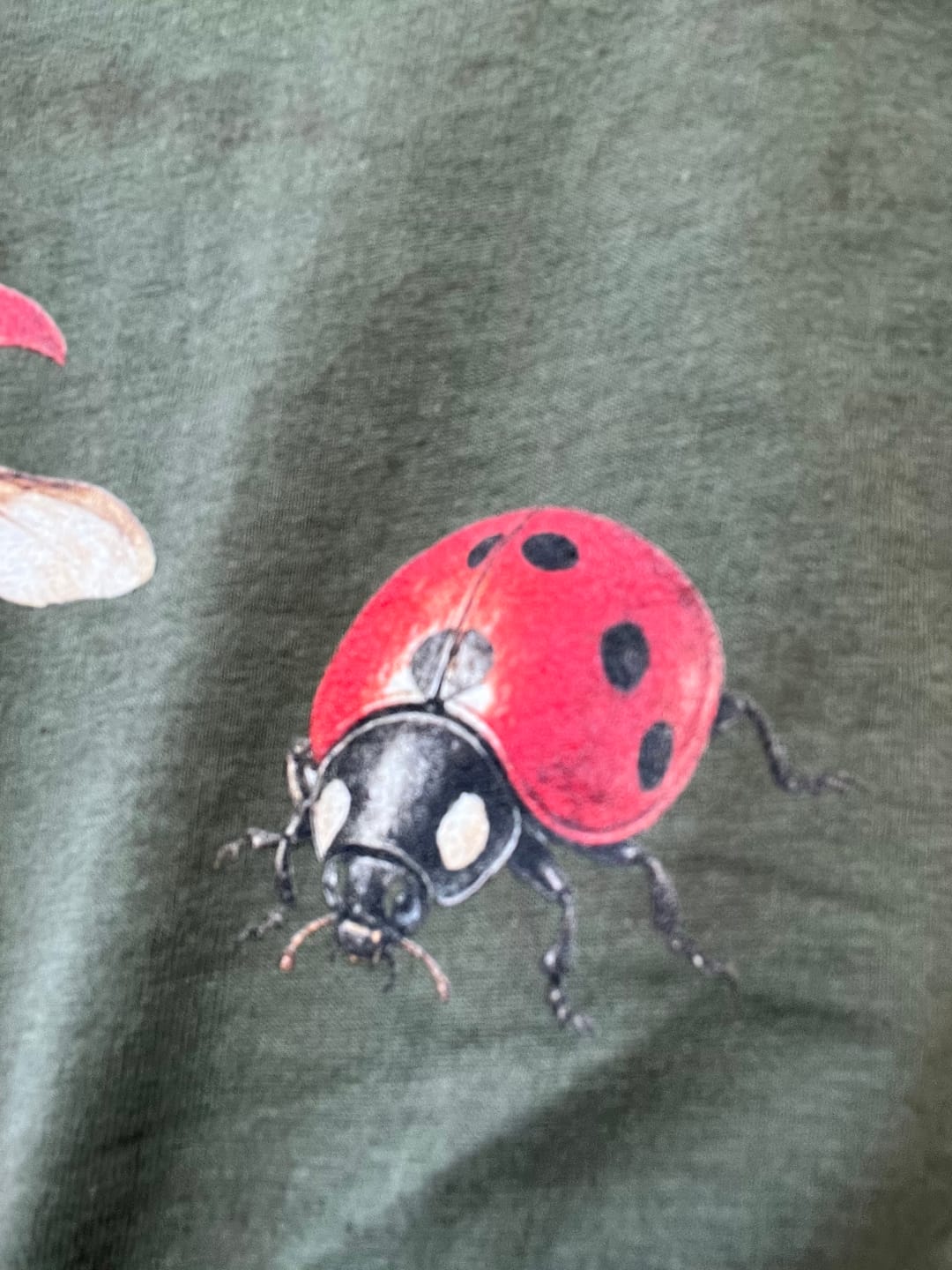 Customer photo review of Ladybug Party