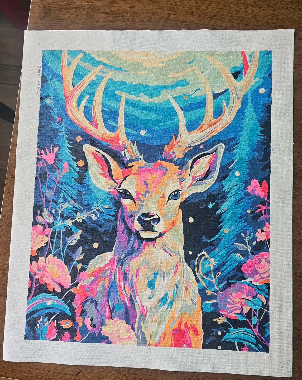 Customer photo review of Ciervo de Ensueño (Pintura por Números)