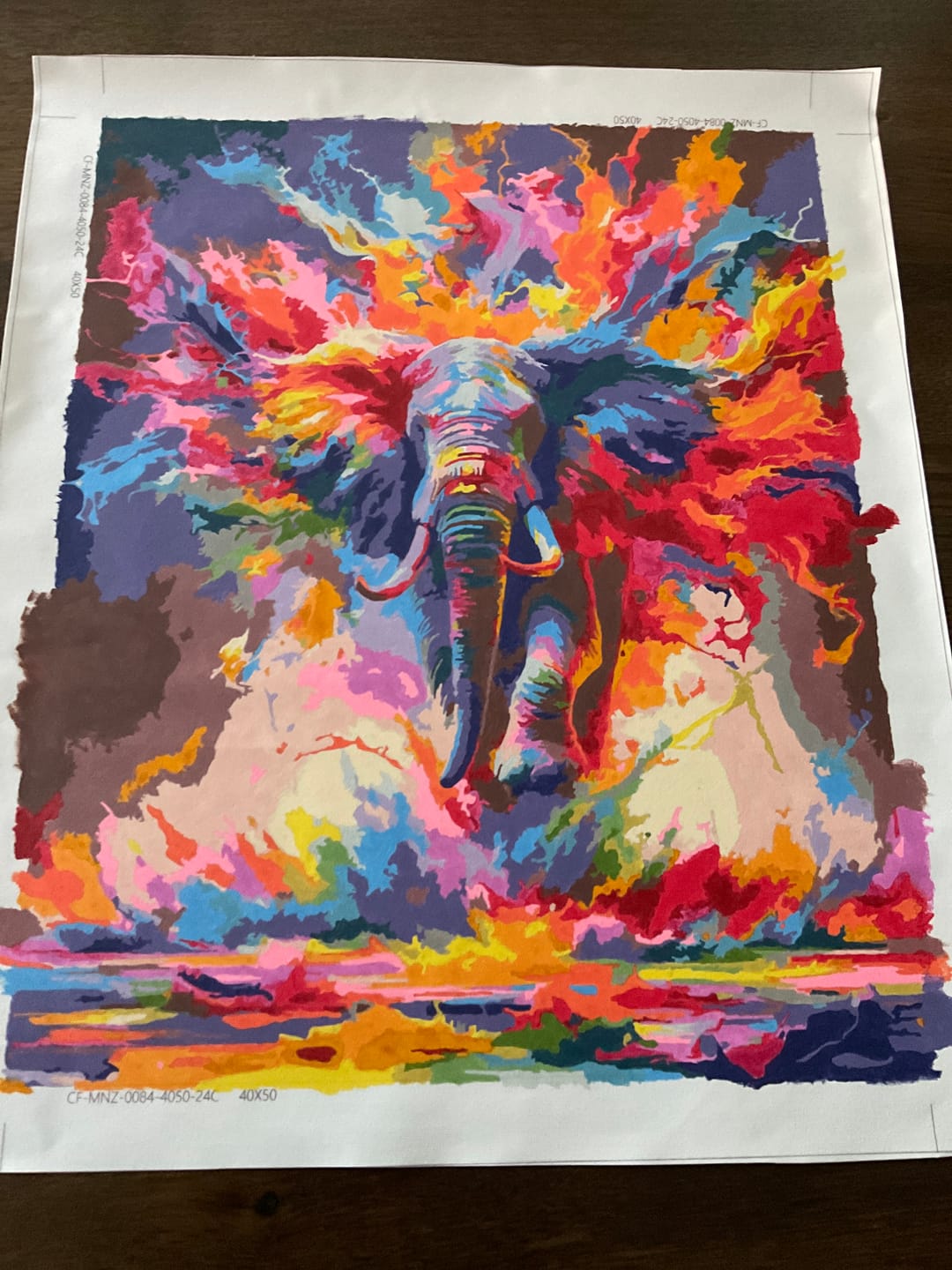 Customer photo review of Elefant sprüht Farbe – Malen nach Zahlen