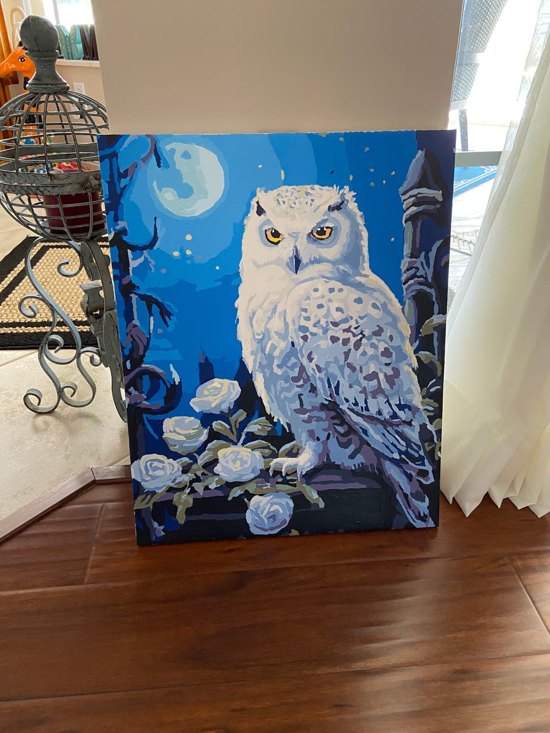 Customer photo review of Snowy Owl