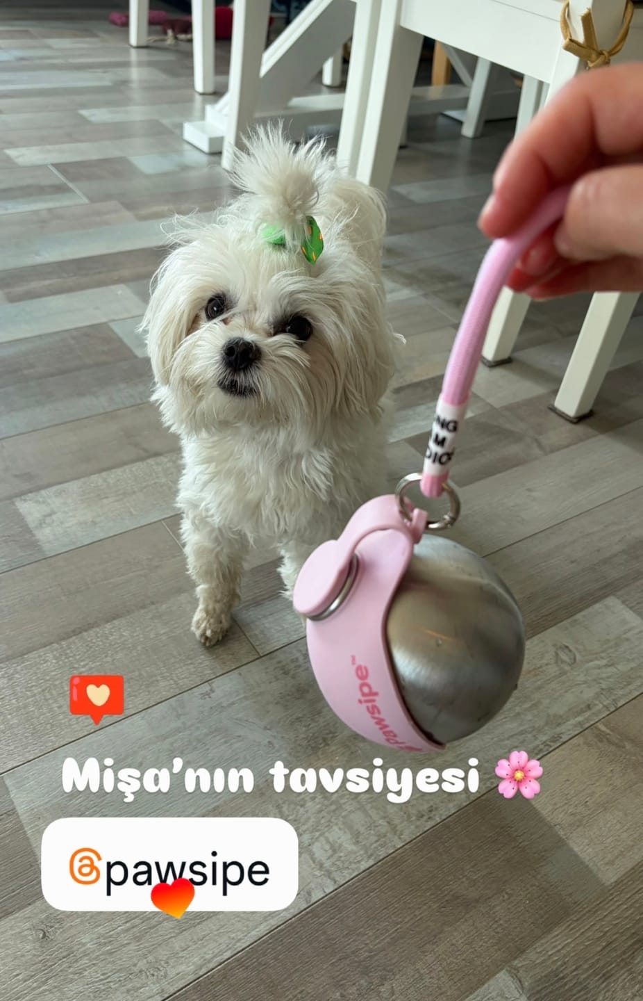 Customer photo review of PawSipe™ Çelik Köpek Yürüyüş Matarası
