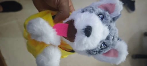 Customer photo review of BoxerBuddy