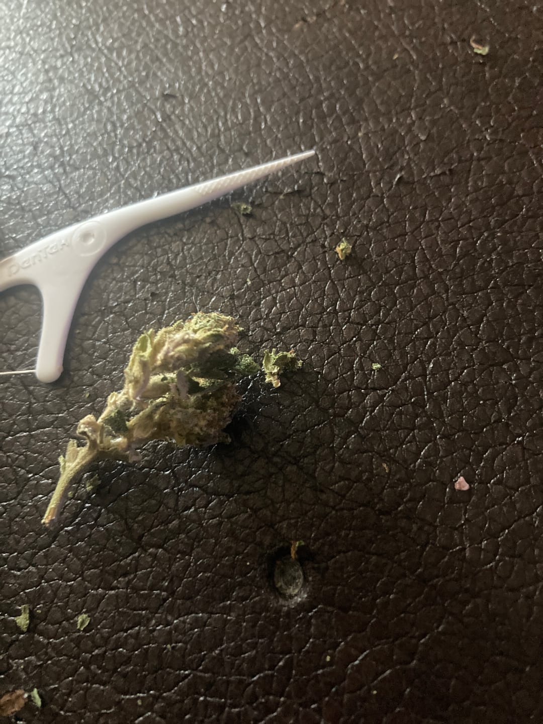 Customer photo review of Gelato 41 - 28 Grams - Hybrid