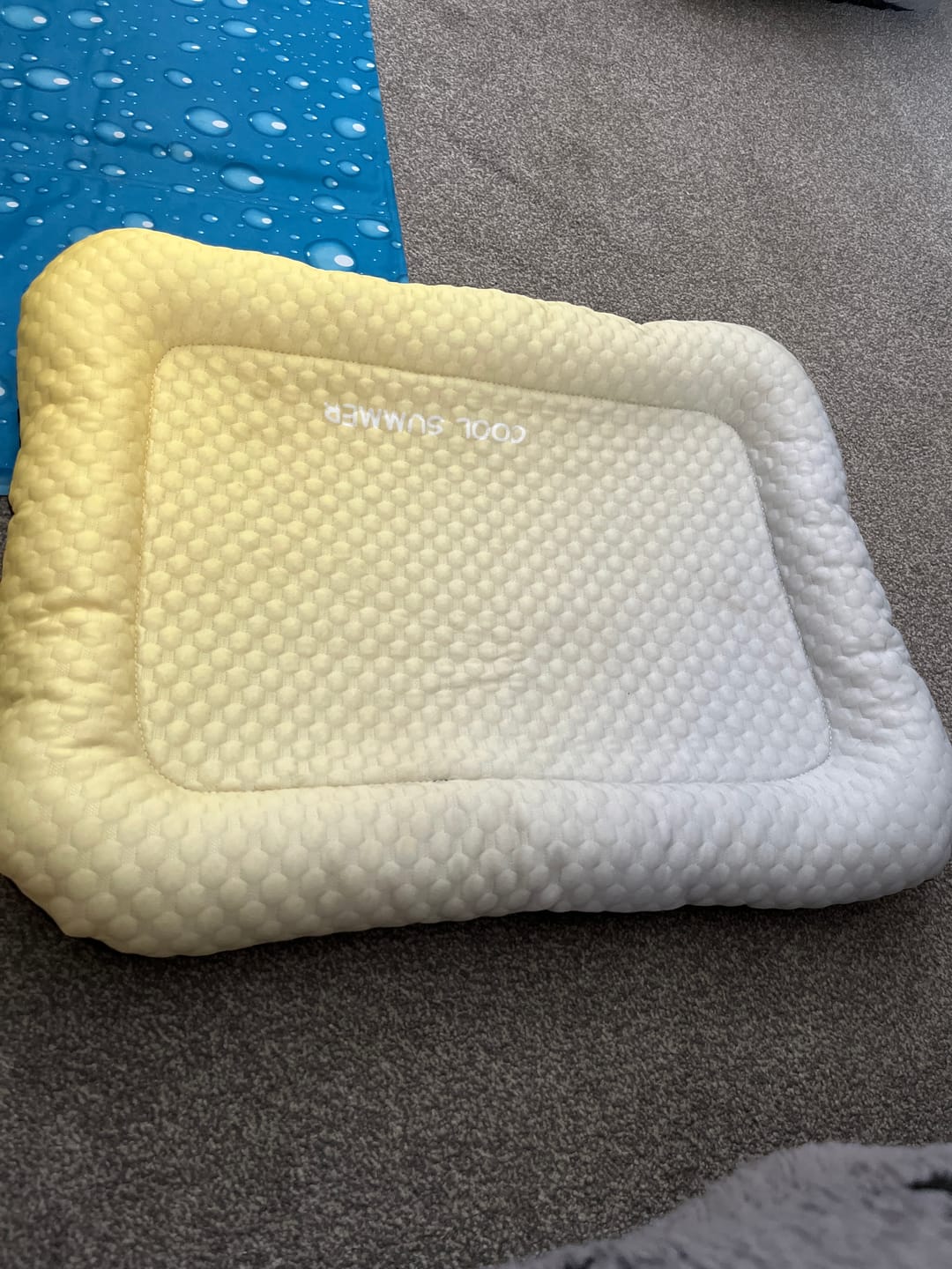Customer photo review of Ice Silk Pet Cooling Mat – Breathable Summer Cooling Bed for Dogs & Cats