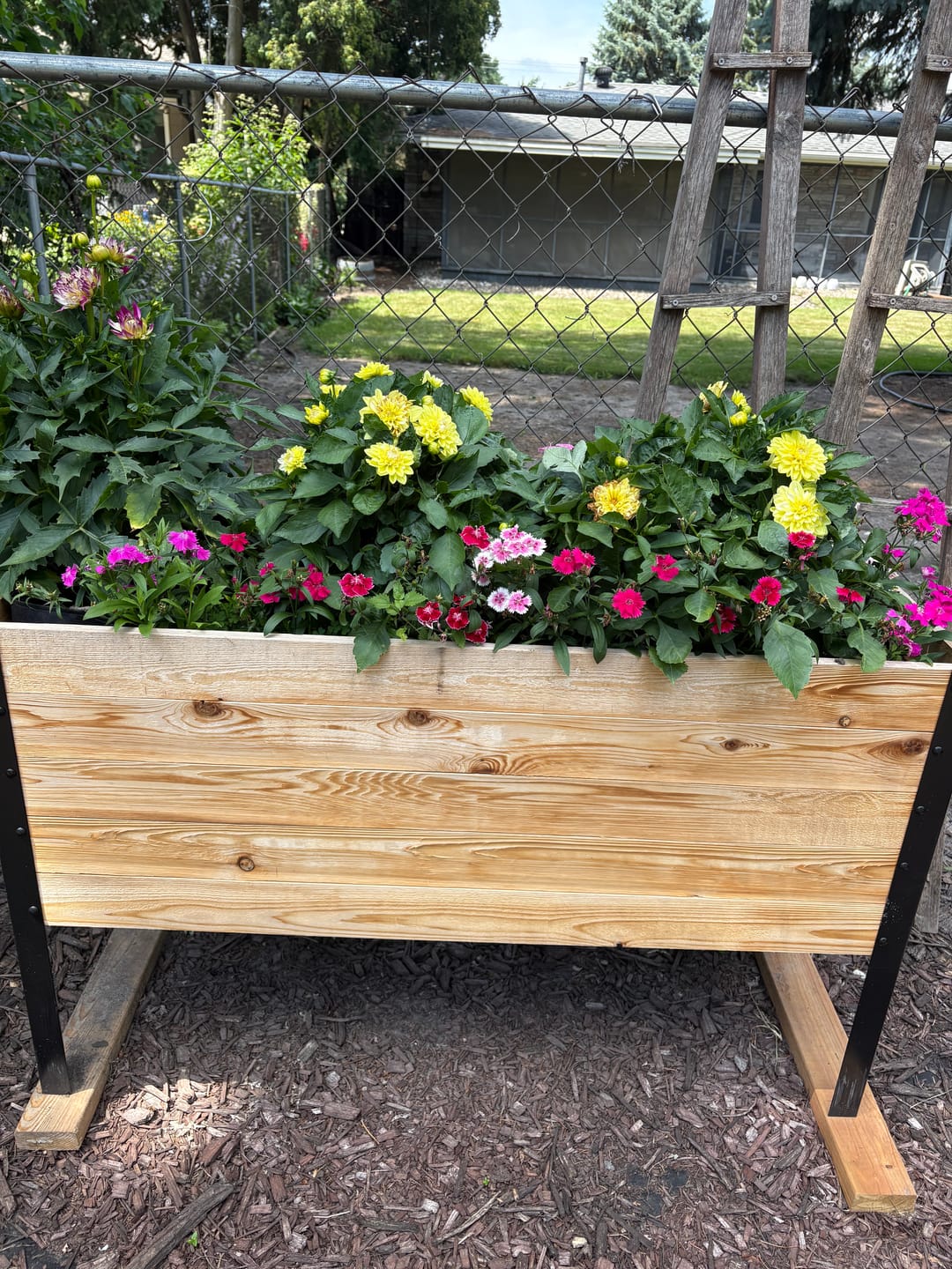 Customer photo review of 18" x 48" Raised Garden Bed - 30" TALL / Rustic