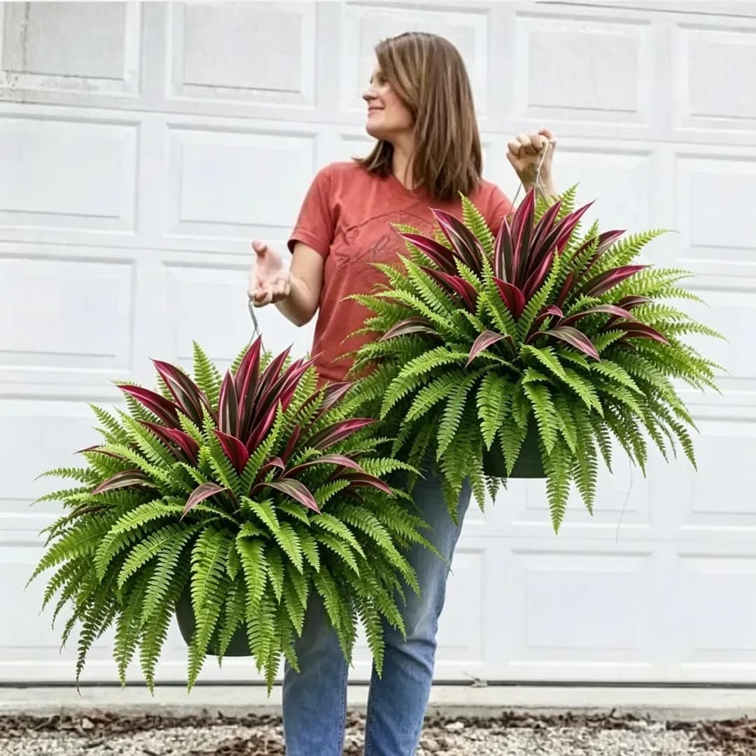Customer photo review of 💥Summer Special🔥 48" Large UV-Resistant Artificial Fern & Red Dracaena Decorative Plants – Full, Lush & Fade-Resistant!