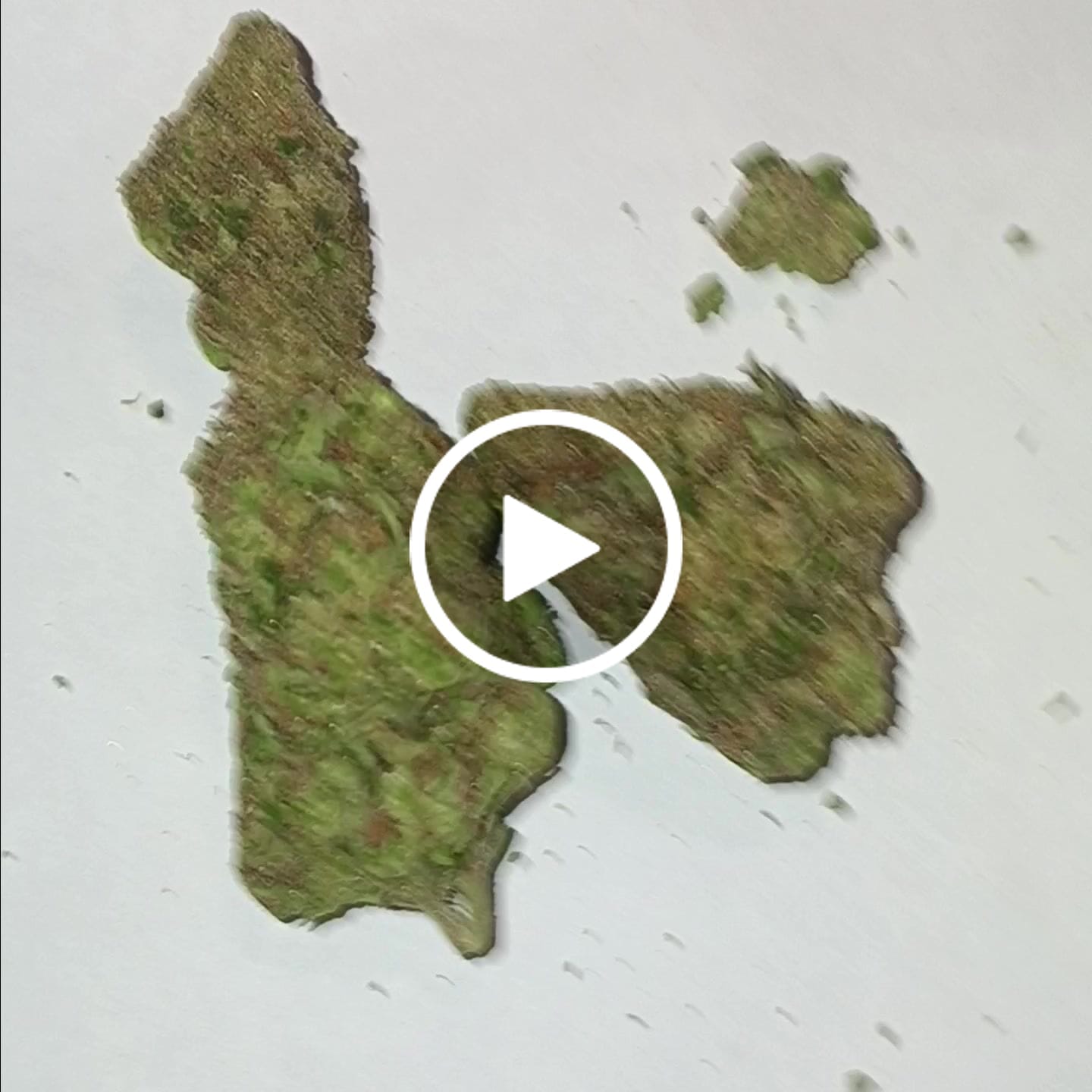 Customer video review of Skywalker OG - 28 Grams - Indica