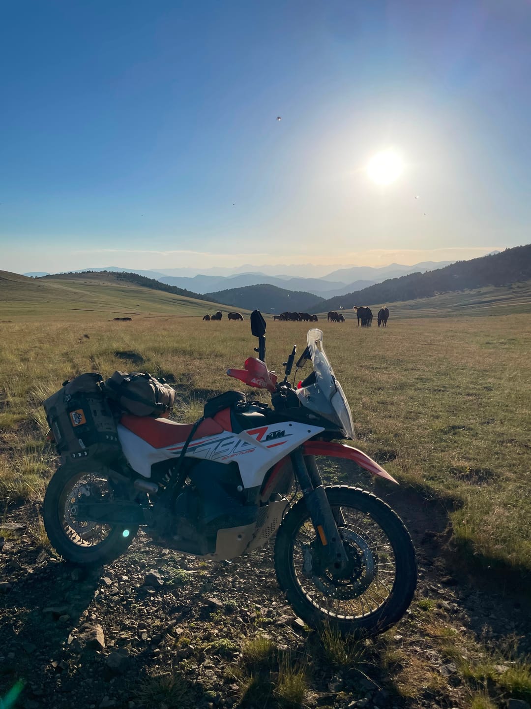 Customer photo review of Ranger Wilds - Enduro 80