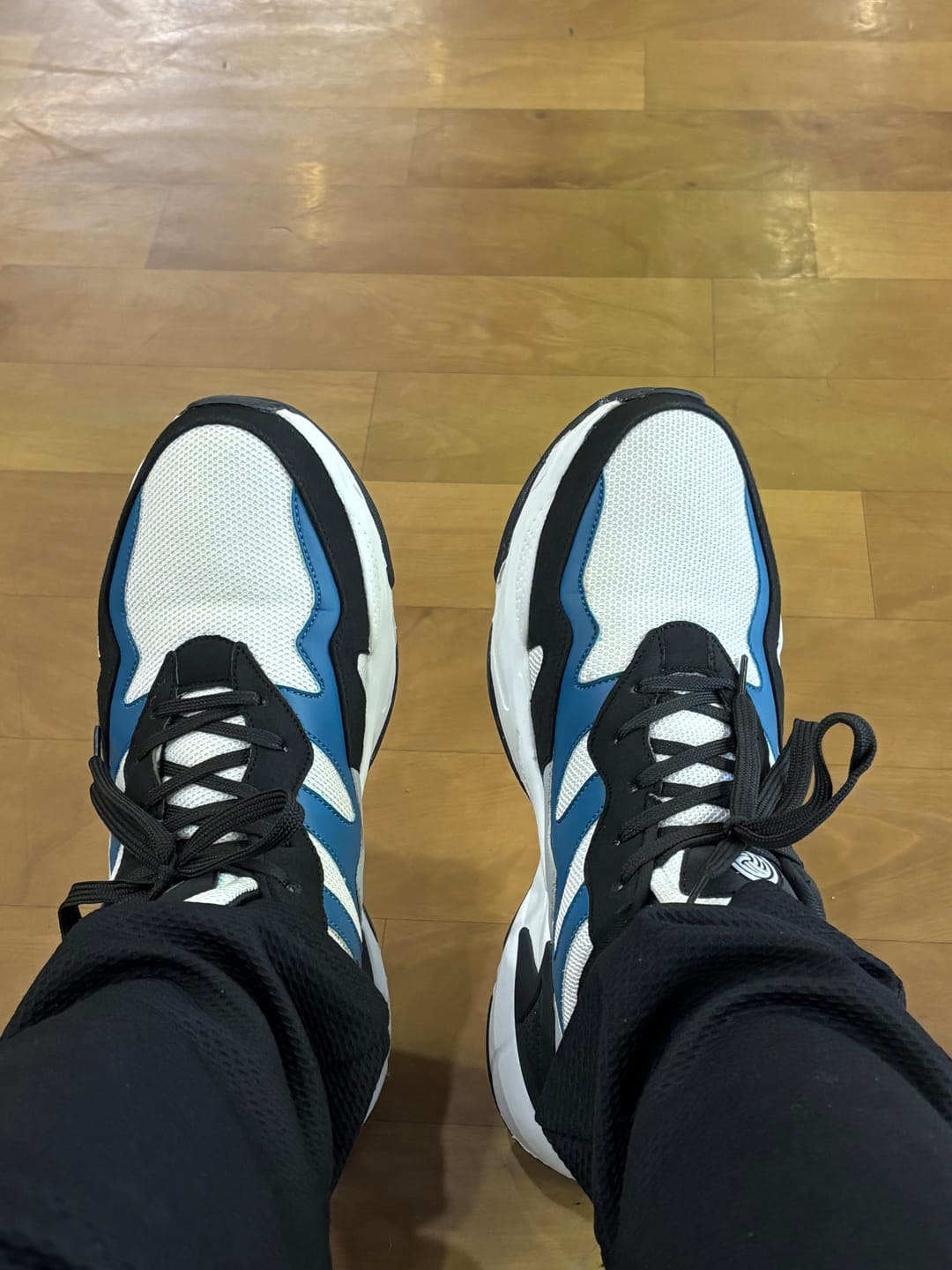 Customer photo review of Bacca Bucci Majesty