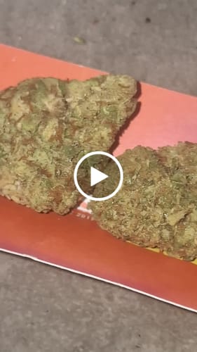 Customer video review of THC-A  29% Flower Permanent Marker