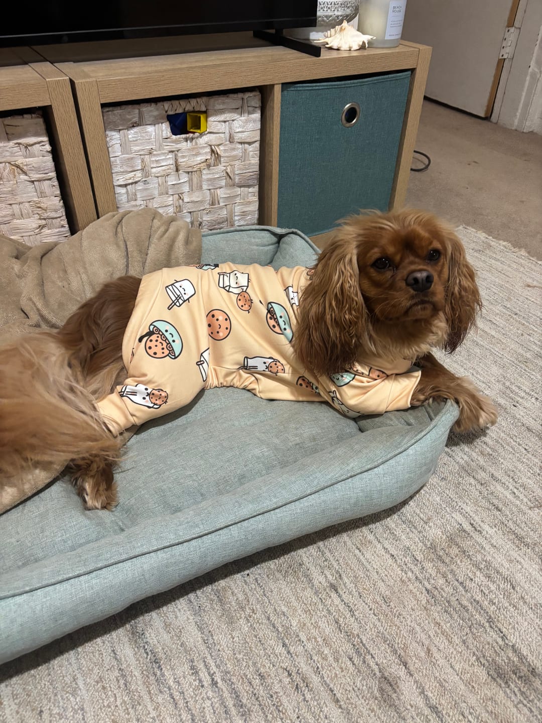 Customer photo review of Dog Pajama - Cookies and Milk