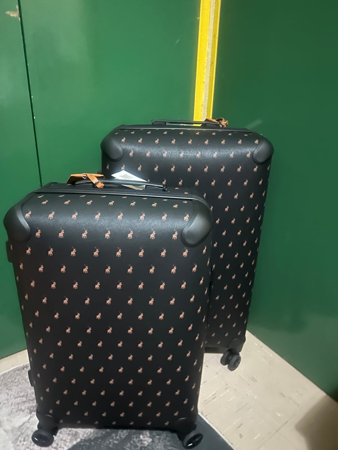 Customer photo review of Double Pack 65cm Medium Check-In