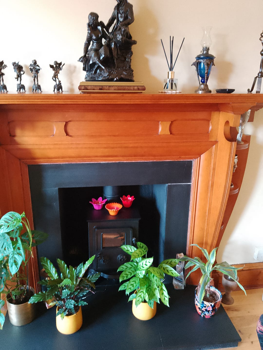 Customer photo review of Violet & Lime Diffuser