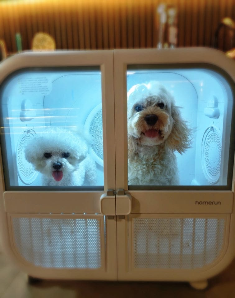 Customer photo review of homerunPET 「Drybo Ultra」ペットドライヤーハウス（7月下旬発送）