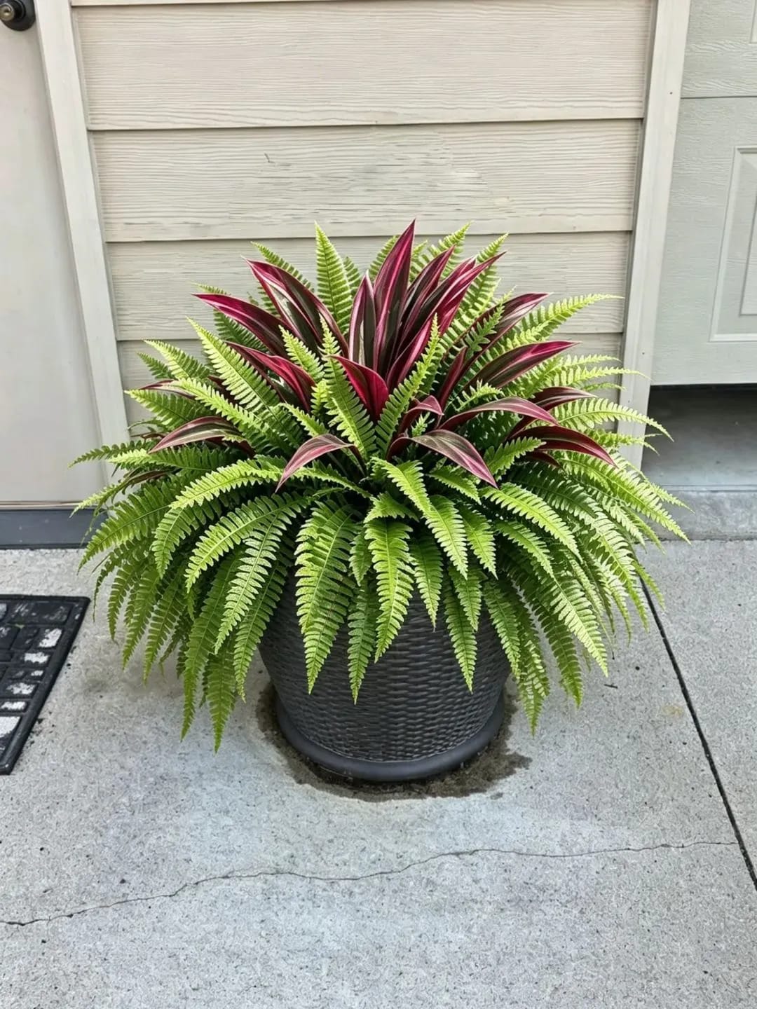 Customer photo review of 💥Summer Special🔥 48" Large UV-Resistant Artificial Fern & Red Dracaena Decorative Plants – Full, Lush & Fade-Resistant!