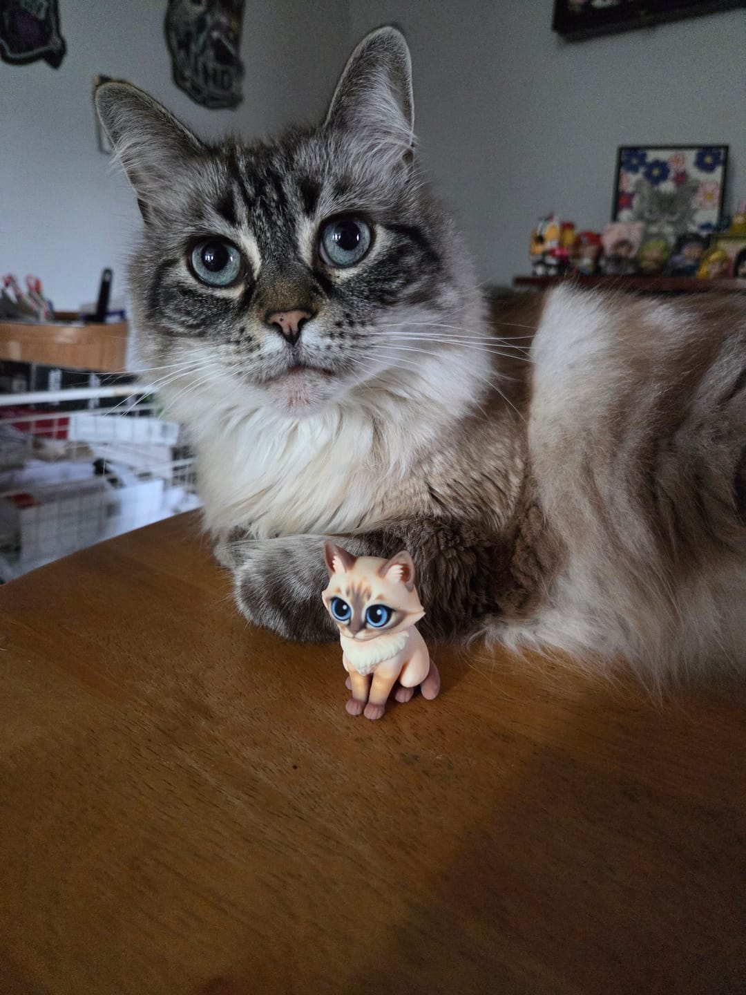 Customer photo review of Custom 3D Pet Figurine - From Your Photo