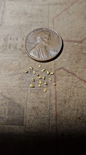 Customer photo review of Dutchman's 'SECRET NUGGET' Gold Paydirt - Gold Prospecting Concentrate