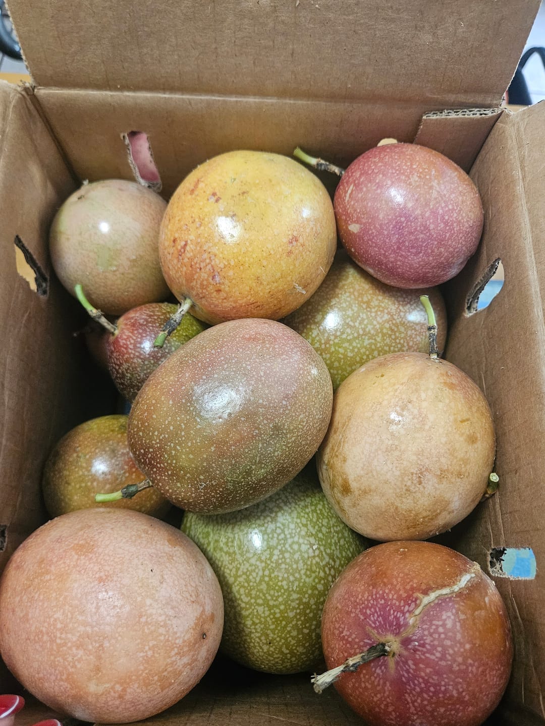 Customer photo review of Purple/Pink Passionfruit (Lilikoi)