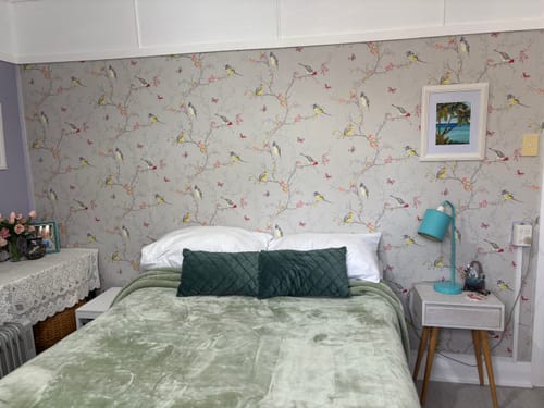 Customer photo review of Phoebe Bird Wallpaper - Dove Grey - Last 6 Rolls