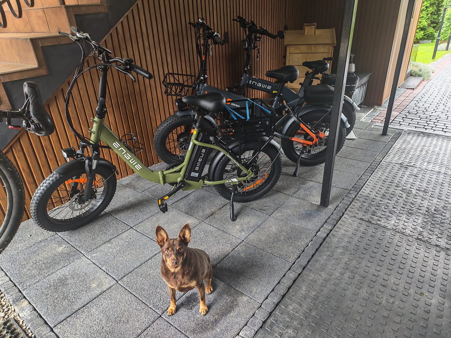 Customer photo review of Engwe L20 SE 250W 20" Foldable Electric Bike 561Wh Trekking Bike Step-through E-bike 36V 15.6Ah Battery