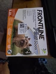 Customer photo review of Frontline Plus for Small Dogs 5 to 22 lbs – 6 Month Flea and Tick Treatment
