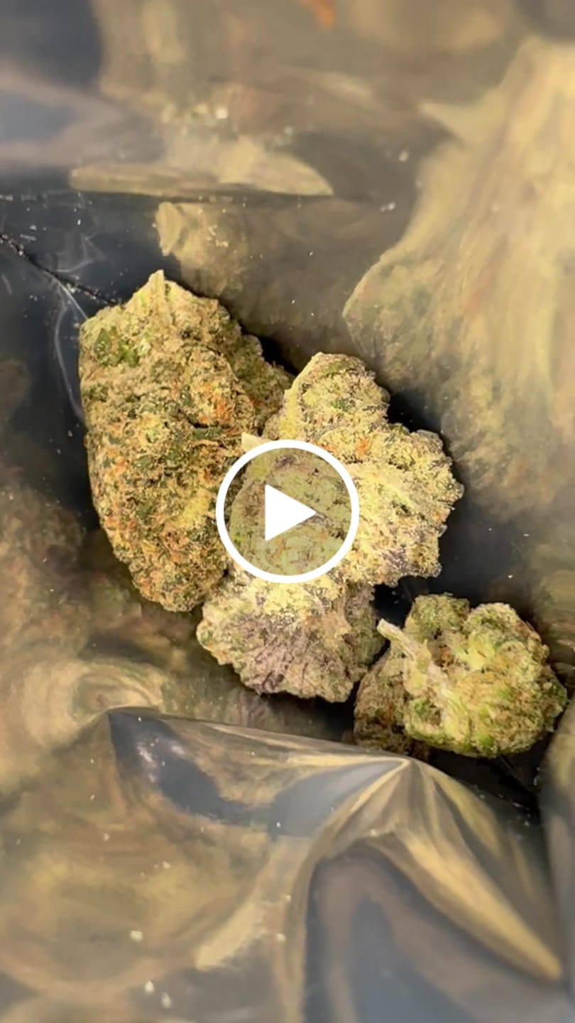 Customer video review of Purple Push Pop -THCa Flower