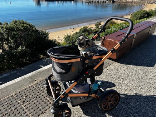 Customer photo review of Pet Stroller with ISO-FIX Car Carrier