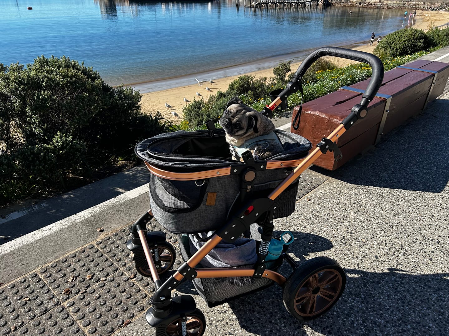 Customer photo review of Pet Stroller with ISO-FIX Car Carrier