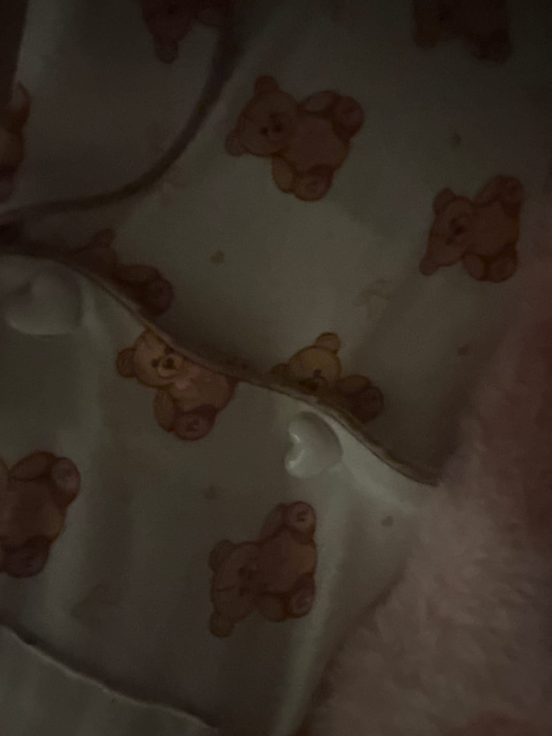 Customer photo review of Women's Teddy Bear Pyjamas