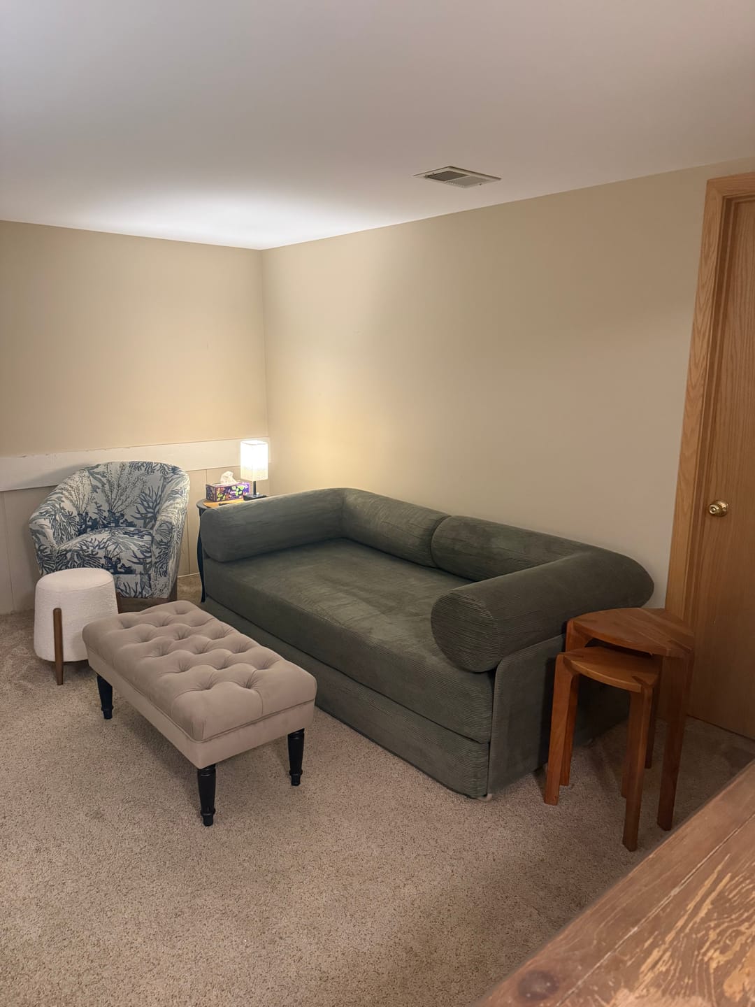 Customer photo review of S8 Sleeper Sofa Bed