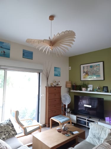 La suspension Aigle en bois d'un client, installée au plafond de son salon.