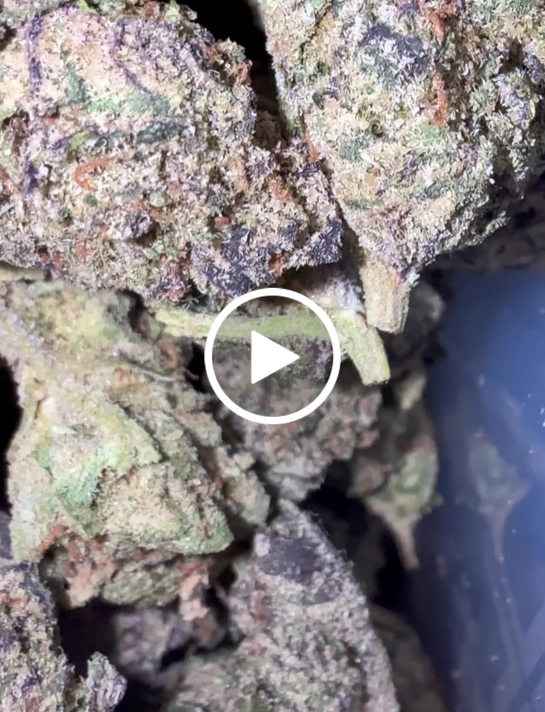 Customer video review of White Nerds Mediums - Bulk Mediums - Hybrid