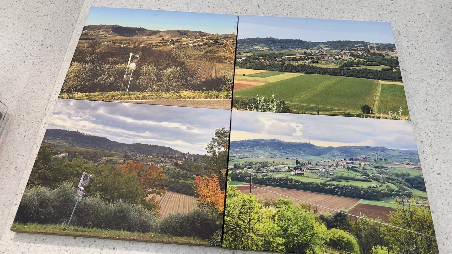 Customer photo review of Custom Canvas
