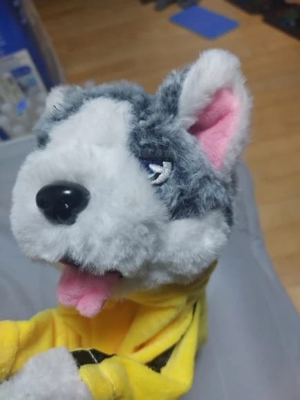 Customer photo review of BoxerBuddy
