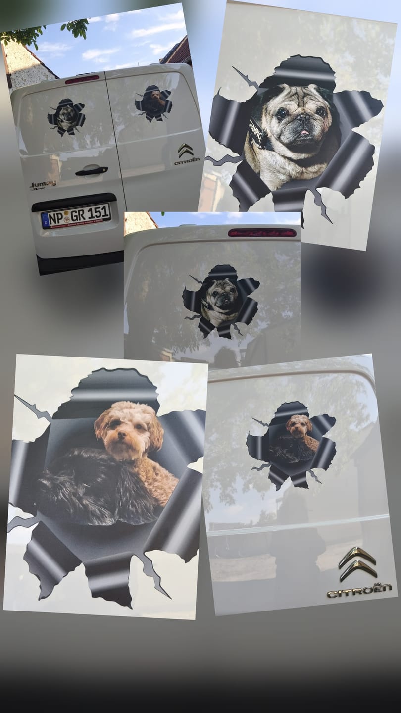 Customer photo review of Personalisierter Autoaufkleber - Spähendes Foto
