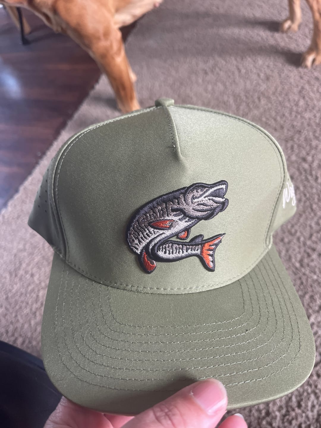 Customer photo review of Monster Hat