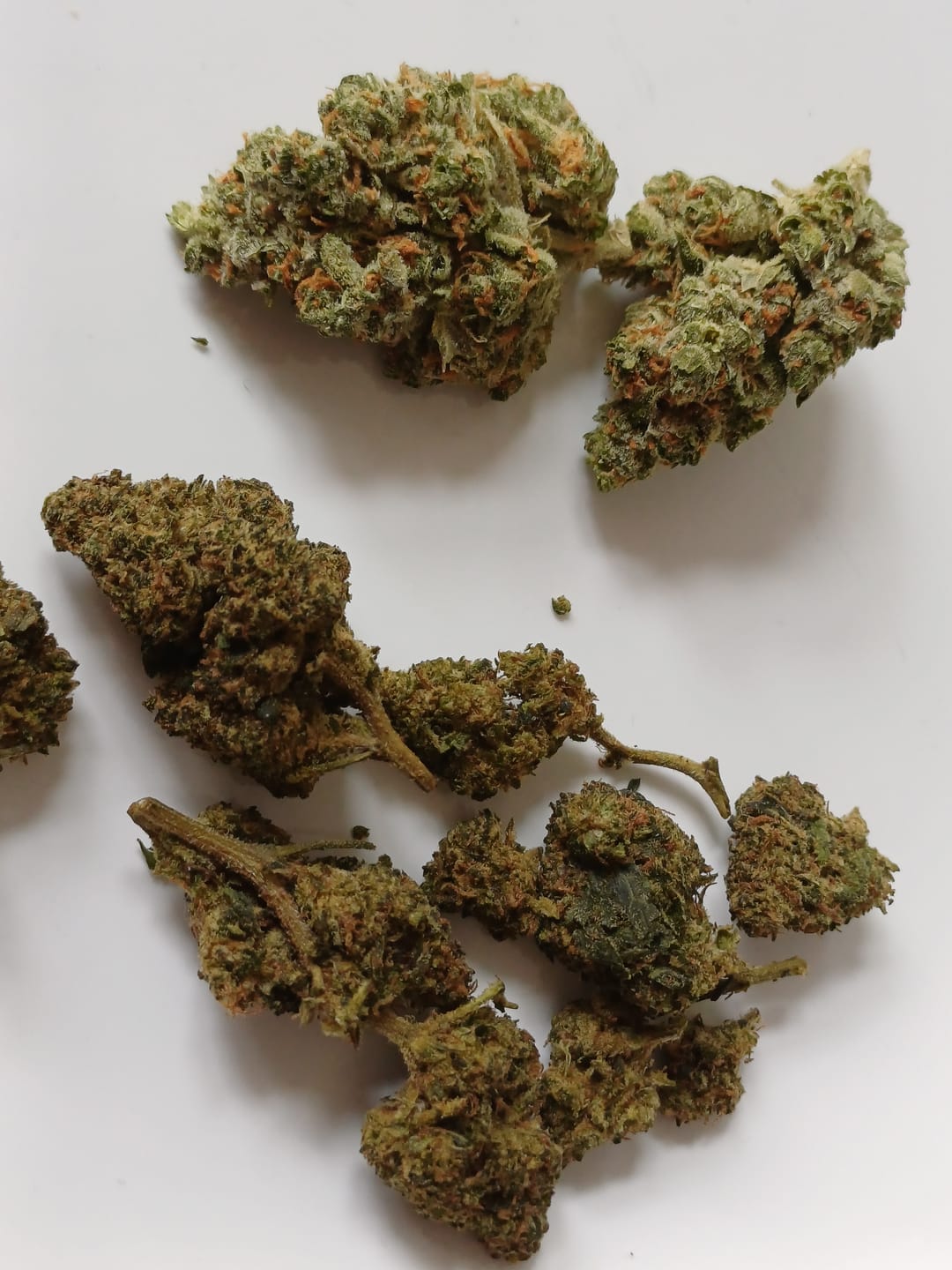 Customer photo review of 🧞Purple Kinky Kush – Power Level 5/5