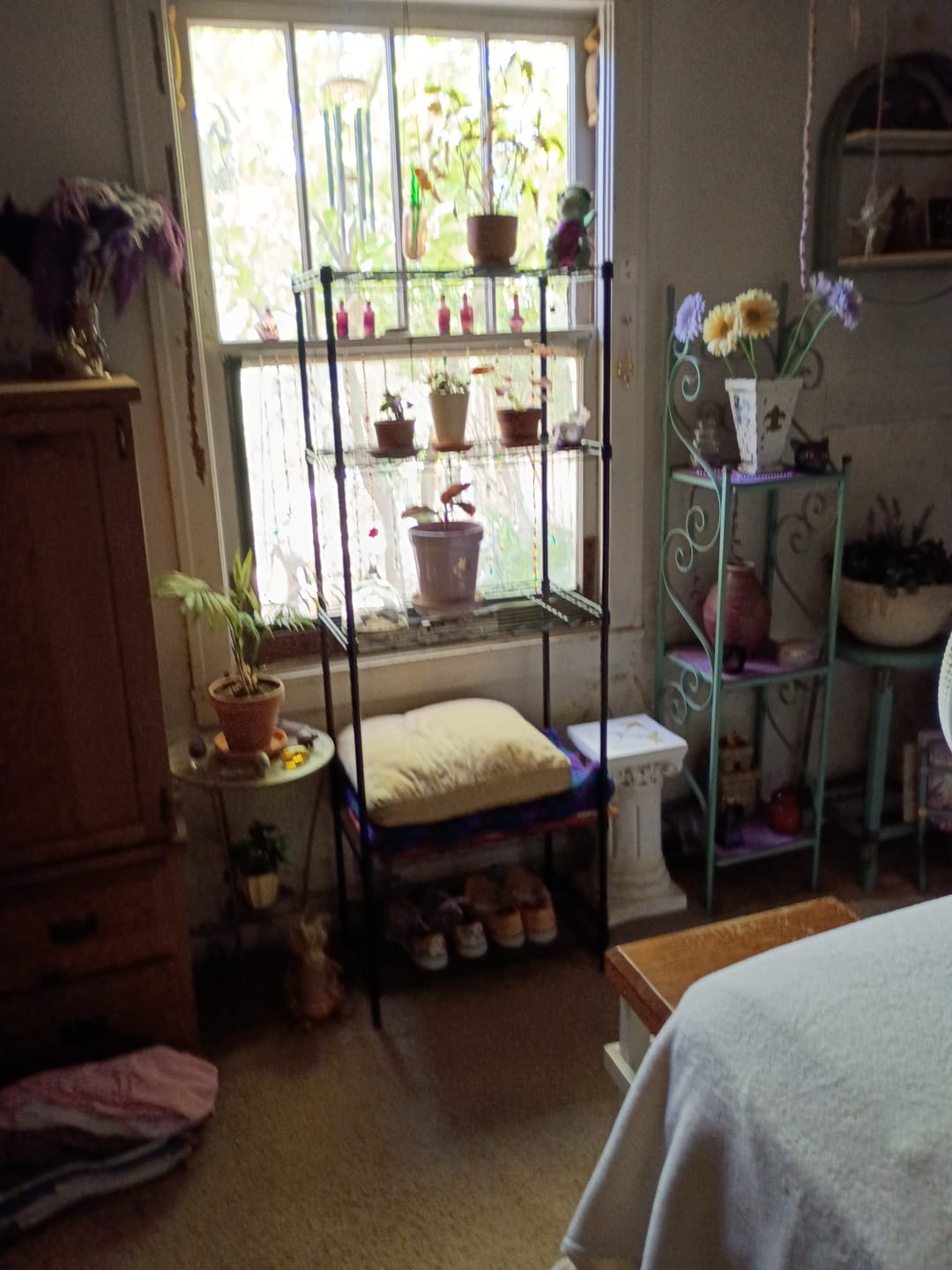 Customer photo review of Reibii 5-Tier Adjustable Metal Wire Shelving Unit, 21.5 Inch Wide Heavy Duty 1000 LBS Storage Rack Organizer for Pantry, Kitchen, Dorm & Garage