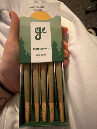 Customer holding an open box of White Runtz Pre-Rolls, showing five pre-rolled joints inside.