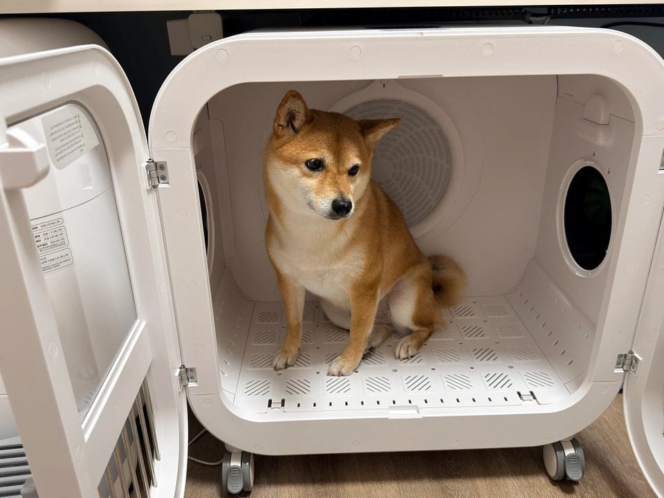 Customer photo review of homerunPET 「Drybo Ultra」ペットドライヤーハウス（7月下旬発送）