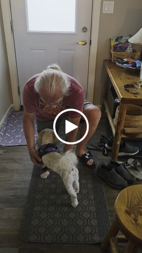 Customer video review of Dogshood ™ .