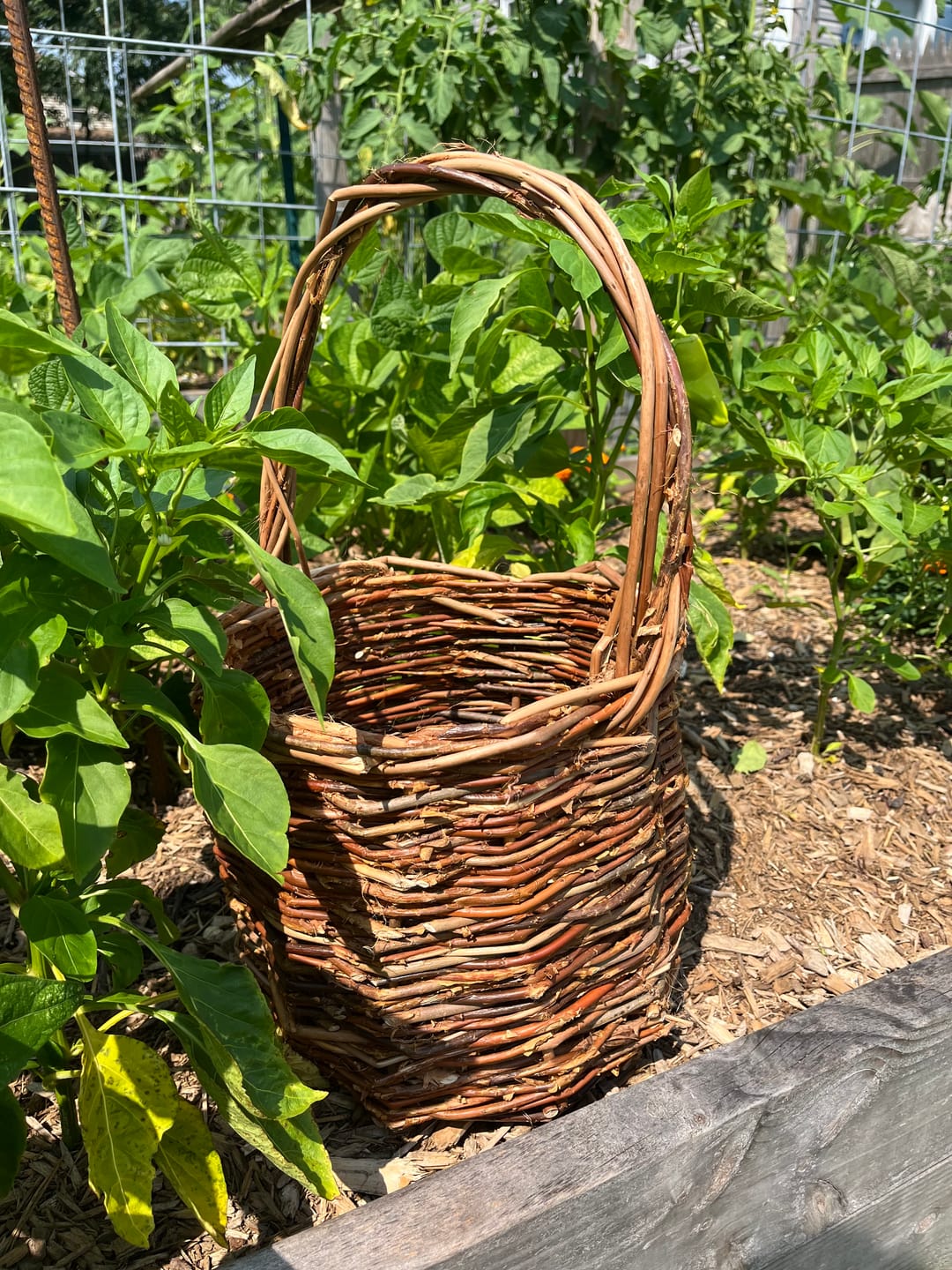 Customer photo review of Beautiful, Simple Baskets Course and Kit