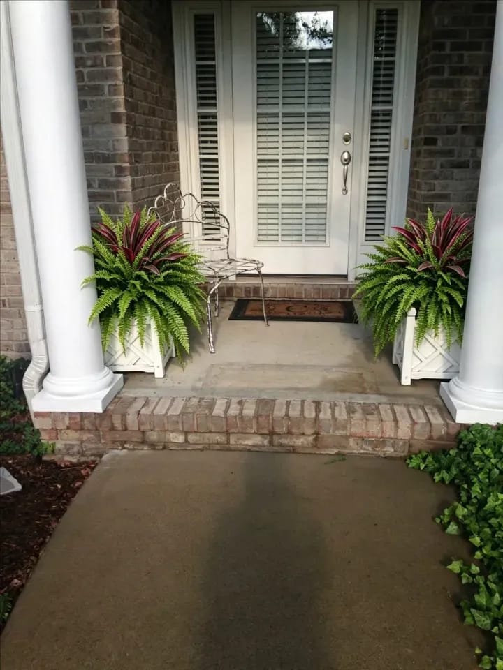Customer photo review of 💥Summer Special🔥 48" Large UV-Resistant Artificial Fern & Red Dracaena Decorative Plants – Full, Lush & Fade-Resistant!