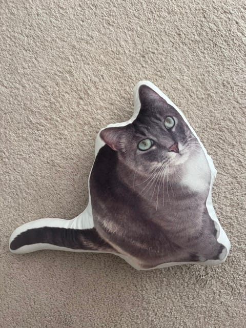 Customer photo review of Pet Pillow Looks Like Your Pet, Customize Dog Shaped Pillow with Pet Photo - ThePetPillow